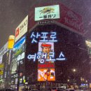 (유)랩스타 | 일본 삿포로 여행 코스, 맛집, 와인바 등 총 정리(5박 6일) (3월 기준)