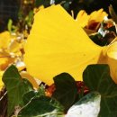 털보민박펜션 이미지