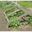 대안중학교 이미지