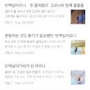 스토리폴댄스 이미지