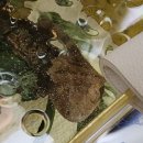 케나인동물병원 이미지