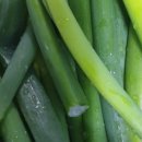 석관동떡볶이 이미지
