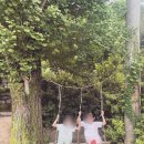노고산어린이집 | 한달에 한번, 서울에서 가까운 우리들자연학교