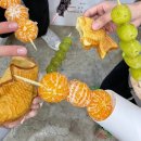 댕댕플레이트