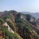 장호관광지 이미지