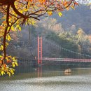 입곡군립공원(출렁다리) | 함안 단풍 명소 입곡군립공원 산책 출렁다리 경남 드라이브 코스