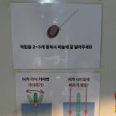 [일산/화정] 일산놀거리 놀이터실내낚시카페 화정역점에서 이색데이트 해보세요!