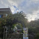 수예리오토캠핑장 이미지