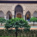 궁전목욕탕 | 세비야 알카사르 궁전 예약 방법ㅣ공홈 vs 클룩 비교(할인 팁)