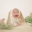 나무스튜디오 이미지