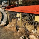 유씨네부엌 네이버블로그