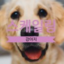 소랑동물병원 이미지