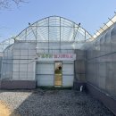 (주)팜양주 이미지