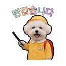 팬팬