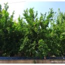 분도경로당 이미지