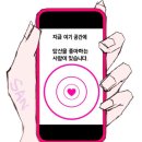 새벽감산 당도오백 이미지