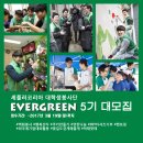 에버그린 이미지