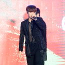엘 이미지