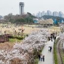 왕송못동로 이미지