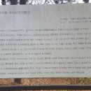 국사봉 지석묘군 이미지