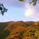 새방골산방 이미지