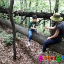 자연의모든것 이미지