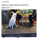 흔한마켓