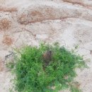 너래농원 이미지