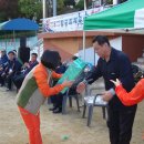 덕암초교 이미지