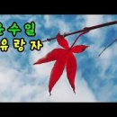 혼란스런 세상을 탈출한 ＜유랑자＞ 이미지