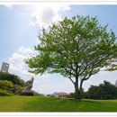 제주조각공원 이미지