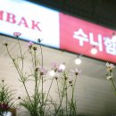 수니함박 | 울산 동구 방어진 맛집 수니함박 아이랑 가족 외식하기 좋은 곳