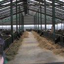 흥천목장 이미지