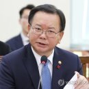 김부겸 카카오 검색결과