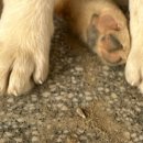 휘성농장 이미지