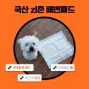 도톰한 | 강아지 배변패드 도톰한 국산 페리패드 사용 후기