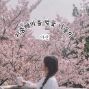 탕정면로8번길+탕정면로22번길 | 아산에서 벚꽃길 찾는다면 "지중해마을"/ 지중해마을 주차타워 요금, 지중해마을 맛집, 카페 추천