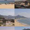 은파농장 | 2025 국내 여행지 추천 TOP7｜가족, 커플, 혼자 여행에 딱 좋은 명소 총정리