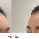 바람부는날에도 성형외과의원 이미지