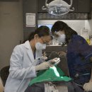 서울튼튼치과의원 이미지