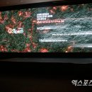 세븐슬롯PC 이미지