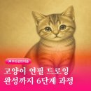 연필드로잉 | 어르신도 1시간이면 완성 가능한 고양이 연필 드로잉 수업 후기