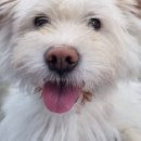 두잉(DOING) 이미지