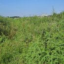 풀천지농장 이미지