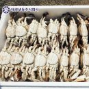 태광냉동