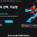 비트레이드 | AI 비트코인 자동매매 플랫폼 비트레이드엑스(BitradeX) 특징