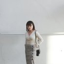 도그매틱