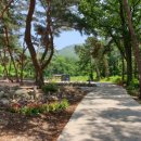 박달길 | [괴산캠핑장] 추천하고 싶은 캠핑장 괴산솔베이캠핑장/ 맑은 자연에서 반딧불이와 함께한 힐링 타임