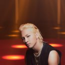 더태양 이미지
