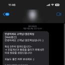 재재왁싱 이미지